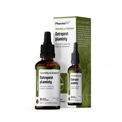 Import produktów XML malowia.pl